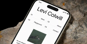 Digital <br>  Design <br> Experience